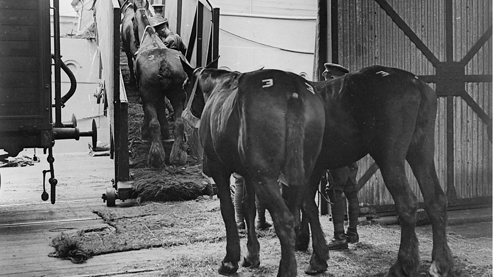 Southampton, Robert Ernest Edward Pocock, 10768